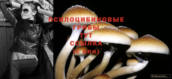 амфетамин Богородск
