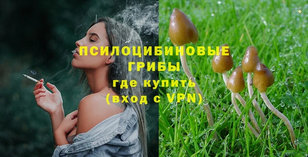 мескалин Богданович