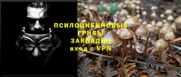 мескалин Богданович